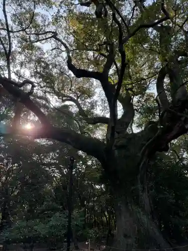 伊勢神宮外宮（豊受大神宮）の{uncategorized: "未分類", other: "その他", undefined: "問題あり", building: "その他建物", grave: "お墓", sacred_gate: "鳥居", guardian: "狛犬", statue: "像", buddha: "仏像", history: "歴史", nature: "自然", garden: "庭園", animal: "動物", pagoda: "塔", temizu: "手水舎", mountain_gate: "山門・神門", sanctuary: "本殿・本堂", subordinate: "末社・摂社", art: "芸術", scenery: "景色", jizo: "地蔵", ema: "絵馬", goshuin: "御朱印", omikuji: "おみくじ", items: "授与品その他", amulet: "お守り", goshuincho: "御朱印帳", eats: "食事", festival: "お祭り", votive_dance: "神楽", shichigosan: "七五三参", wedding: "結婚式", experience: "体験その他", initially: "初詣", around: "周辺", anti_infection: "感染症対策"}