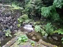 泉神社の自然