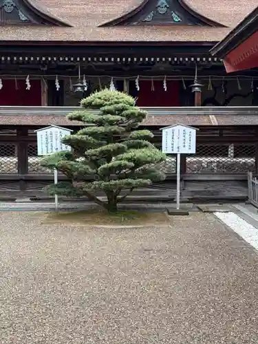 住吉神社(山口県)