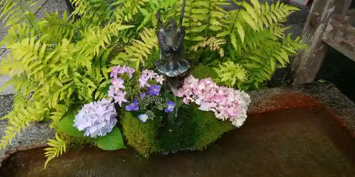 出雲大神宮の手水舎