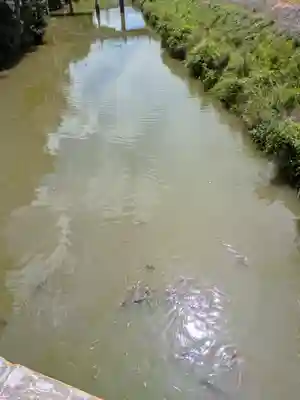 宇佐神宮(大分県)