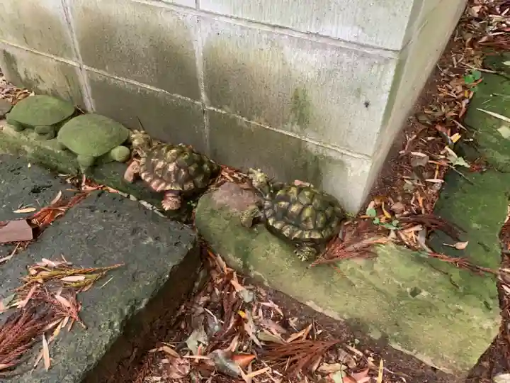 千手院(千葉県)