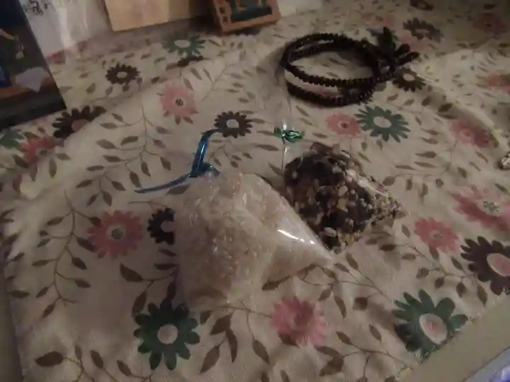 見沼大師 感応院(埼玉県)