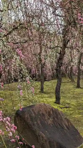 城南宮(京都府)