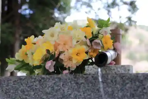 高司神社〜むすびの神の鎮まる社〜の手水