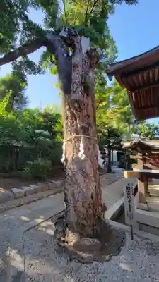 大将軍八神社(京都府)