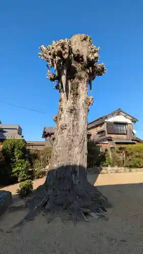 巖島神社(滋賀県)
