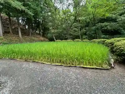 万治の石仏(長野県)