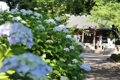 開成山大神宮の末社・摂社