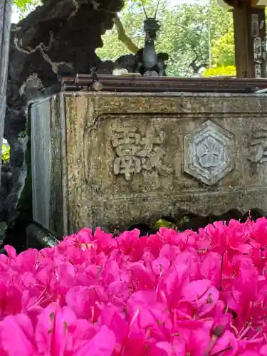 白山神社(東京都)