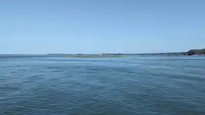 牡蠣島辨天神社の本殿・本堂