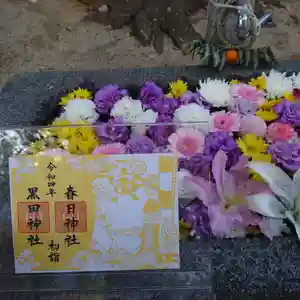 春日神社の御朱印(2022年01月05日(水) 11時41分33秒投稿)