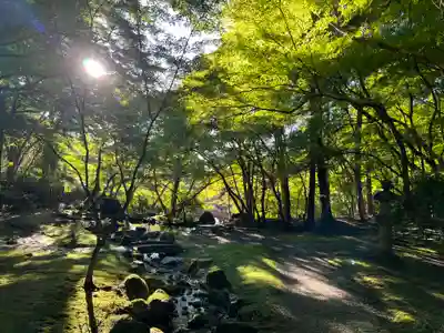 醍醐寺(京都府)