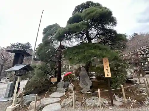 宝登山神社(埼玉県)