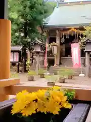 上目黒氷川神社(東京都)