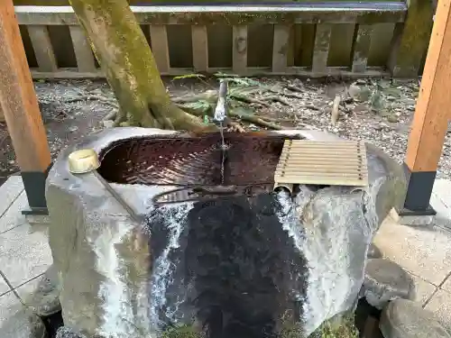 熊野神社の{uncategorized: "未分類", other: "その他", undefined: "問題あり", building: "その他建物", grave: "お墓", sacred_gate: "鳥居", guardian: "狛犬", statue: "像", buddha: "仏像", history: "歴史", nature: "自然", garden: "庭園", animal: "動物", pagoda: "塔", temizu: "手水舎", mountain_gate: "山門・神門", sanctuary: "本殿・本堂", subordinate: "末社・摂社", art: "芸術", scenery: "景色", jizo: "地蔵", ema: "絵馬", goshuin: "御朱印", omikuji: "おみくじ", items: "授与品その他", amulet: "お守り", goshuincho: "御朱印帳", eats: "食事", festival: "お祭り", votive_dance: "神楽", shichigosan: "七五三参", wedding: "結婚式", experience: "体験その他", initially: "初詣", around: "周辺", anti_infection: "感染症対策"}
