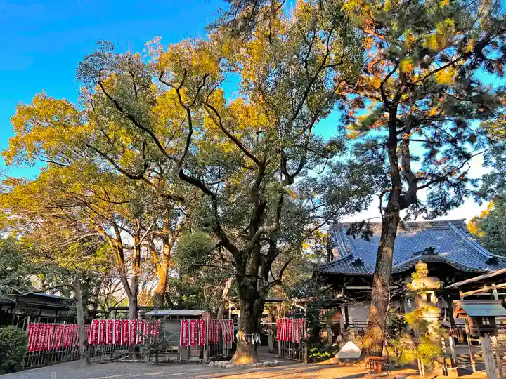 立坂神社の自然