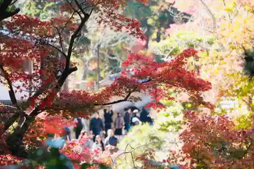 円覚寺(神奈川県)