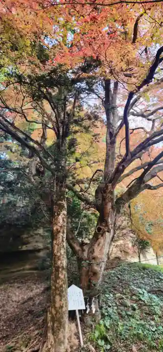 青麻神社の周辺