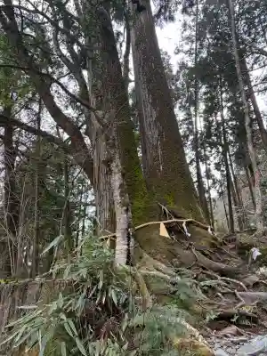 貴船神社の{uncategorized: "未分類", other: "その他", undefined: "問題あり", building: "その他建物", grave: "お墓", sacred_gate: "鳥居", guardian: "狛犬", statue: "像", buddha: "仏像", history: "歴史", nature: "自然", garden: "庭園", animal: "動物", pagoda: "塔", temizu: "手水舎", mountain_gate: "山門・神門", sanctuary: "本殿・本堂", subordinate: "末社・摂社", art: "芸術", scenery: "景色", jizo: "地蔵", ema: "絵馬", goshuin: "御朱印", omikuji: "おみくじ", items: "授与品その他", amulet: "お守り", goshuincho: "御朱印帳", eats: "食事", festival: "お祭り", votive_dance: "神楽", shichigosan: "七五三参", wedding: "結婚式", experience: "体験その他", initially: "初詣", around: "周辺", anti_infection: "感染症対策"}