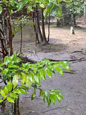 安仁神社の{uncategorized: "未分類", other: "その他", undefined: "問題あり", building: "その他建物", grave: "お墓", sacred_gate: "鳥居", guardian: "狛犬", statue: "像", buddha: "仏像", history: "歴史", nature: "自然", garden: "庭園", animal: "動物", pagoda: "塔", temizu: "手水舎", mountain_gate: "山門・神門", sanctuary: "本殿・本堂", subordinate: "末社・摂社", art: "芸術", scenery: "景色", jizo: "地蔵", ema: "絵馬", goshuin: "御朱印", omikuji: "おみくじ", items: "授与品その他", amulet: "お守り", goshuincho: "御朱印帳", eats: "食事", festival: "お祭り", votive_dance: "神楽", shichigosan: "七五三参", wedding: "結婚式", experience: "体験その他", initially: "初詣", around: "周辺", anti_infection: "感染症対策"}