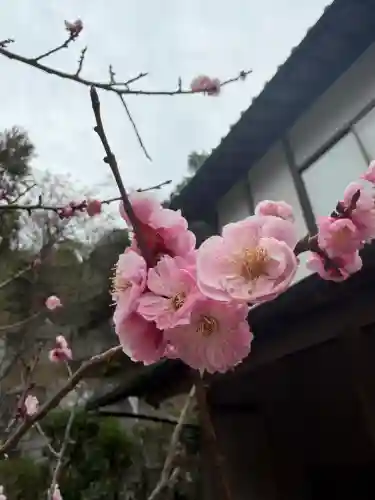 慈眼寺の{uncategorized: "未分類", other: "その他", undefined: "問題あり", building: "その他建物", grave: "お墓", sacred_gate: "鳥居", guardian: "狛犬", statue: "像", buddha: "仏像", history: "歴史", nature: "自然", garden: "庭園", animal: "動物", pagoda: "塔", temizu: "手水舎", mountain_gate: "山門・神門", sanctuary: "本殿・本堂", subordinate: "末社・摂社", art: "芸術", scenery: "景色", jizo: "地蔵", ema: "絵馬", goshuin: "御朱印", omikuji: "おみくじ", items: "授与品その他", amulet: "お守り", goshuincho: "御朱印帳", eats: "食事", festival: "お祭り", votive_dance: "神楽", shichigosan: "七五三参", wedding: "結婚式", experience: "体験その他", initially: "初詣", around: "周辺", anti_infection: "感染症対策"}