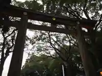 明治神宮の鳥居