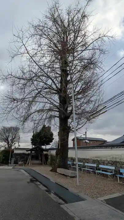 生源寺(滋賀県)