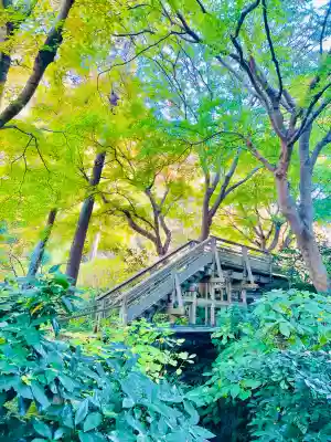 明月院(神奈川県)