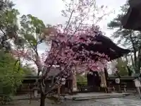 豊国神社の山門・神門