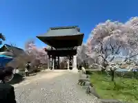 安養寺の{uncategorized: "未分類", other: "その他", undefined: "問題あり", building: "その他建物", grave: "お墓", sacred_gate: "鳥居", guardian: "狛犬", statue: "像", buddha: "仏像", history: "歴史", nature: "自然", garden: "庭園", animal: "動物", pagoda: "塔", temizu: "手水舎", mountain_gate: "山門・神門", sanctuary: "本殿・本堂", subordinate: "末社・摂社", art: "芸術", scenery: "景色", jizo: "地蔵", ema: "絵馬", goshuin: "御朱印", omikuji: "おみくじ", items: "授与品その他", amulet: "お守り", goshuincho: "御朱印帳", eats: "食事", festival: "お祭り", votive_dance: "神楽", shichigosan: "七五三参", wedding: "結婚式", experience: "体験その他", initially: "初詣", around: "周辺", anti_infection: "感染症対策"}