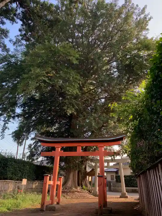 八幡大神(千葉県)