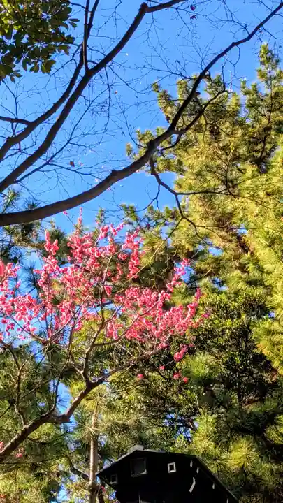 登渡神社の自然