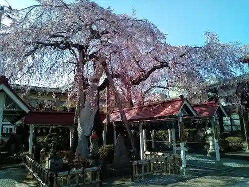 洞林寺(宮城県)