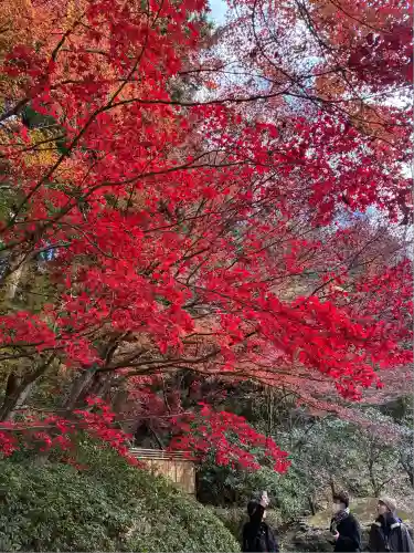 明月院(神奈川県)