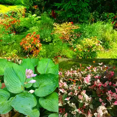 寿量山 速成寺(奈良県)