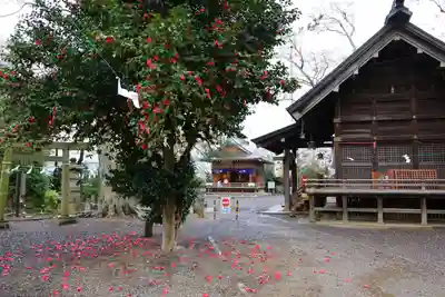 日吉神社の景色