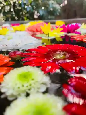 前玉神社(埼玉県)