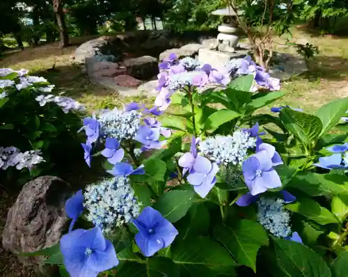 仁木神社の自然