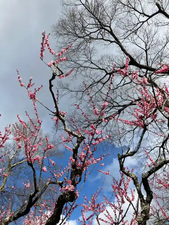 北野天満宮(京都府)