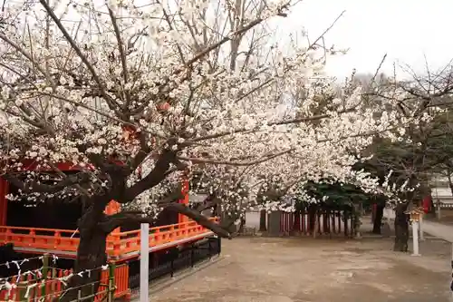 花園神社のその他建物