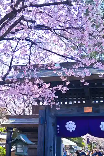 密藏院(埼玉県)