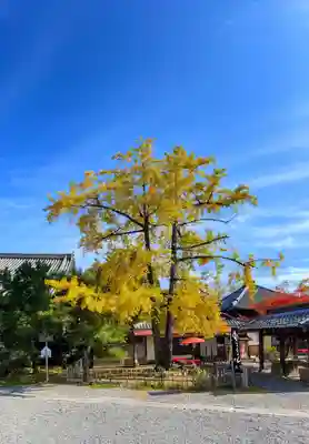 清凉寺(京都府)