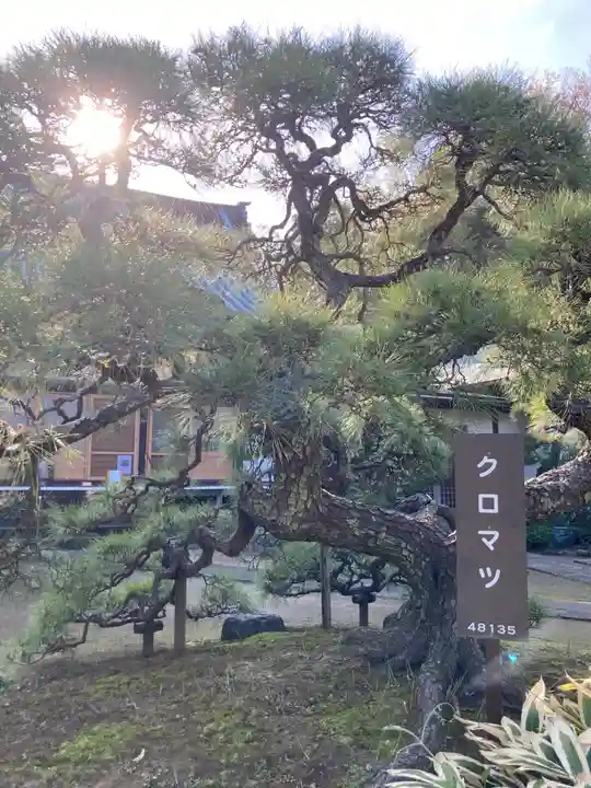 慶珊寺(神奈川県)