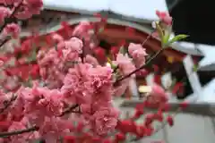 大須観音 （北野山真福寺宝生院）の自然