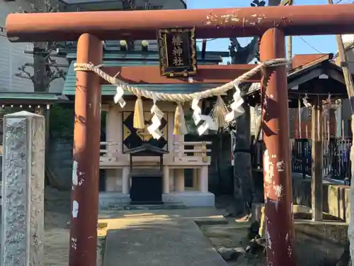 椿神社の鳥居