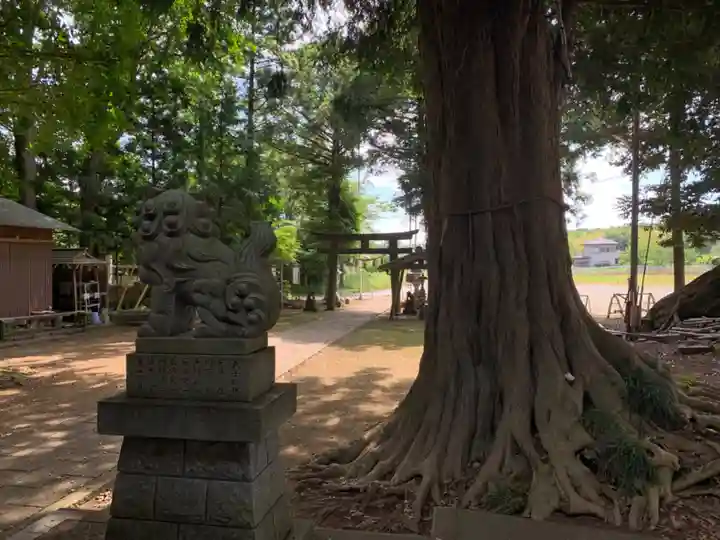 大森鳥見神社(千葉県)