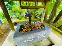 坂本八幡神社の手水舎