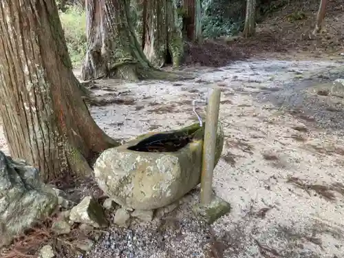 三島神社の手水舎