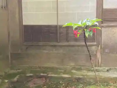 西芳寺のその他建物